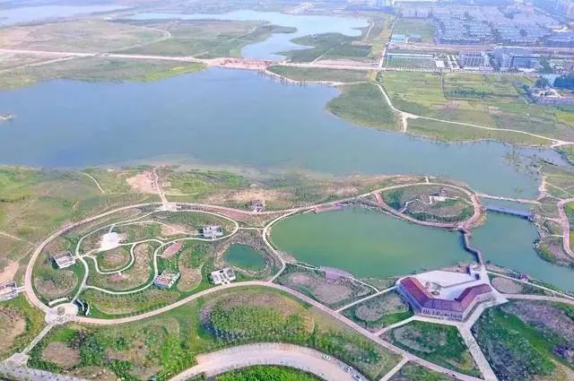 安徽淮北：昔日垃圾场变身生态湿地